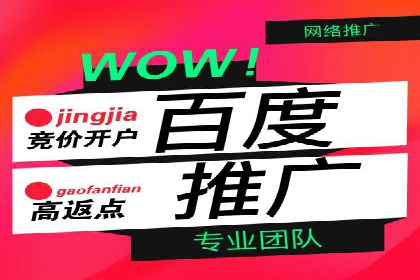 搜索引擎营销（SEM）的投放策略与效果评估——以某行业领先企业的案例分析